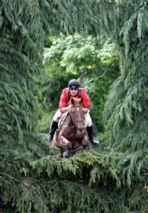 Saut d'obstacle bertrand